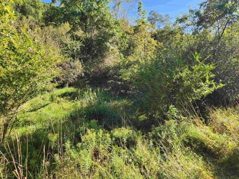 0 Heavener Avenue Stonewood WV 26301