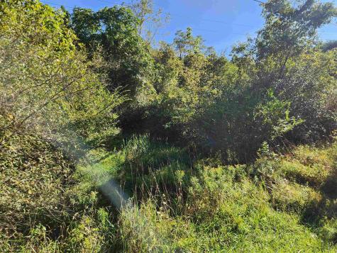 0 Heavener Avenue Stonewood WV 26301