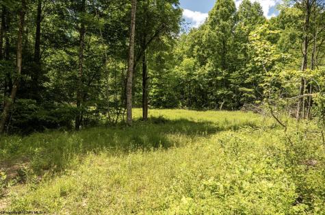 23 Lake Island Drive Belington WV 26250