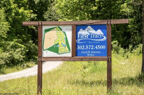 23 Lake Island Drive Belington WV 26250