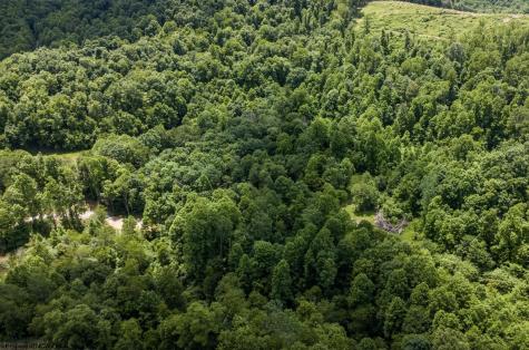 23 Lake Island Drive Belington WV 26250