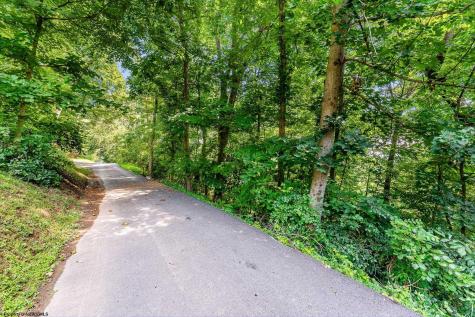 0 Hodges Street Morgantown WV 26505