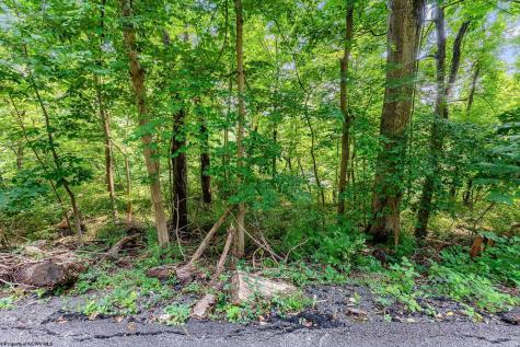0 Hodges Street Morgantown WV 26505