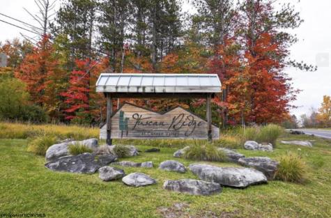 111 Canal Street Davis WV 26260