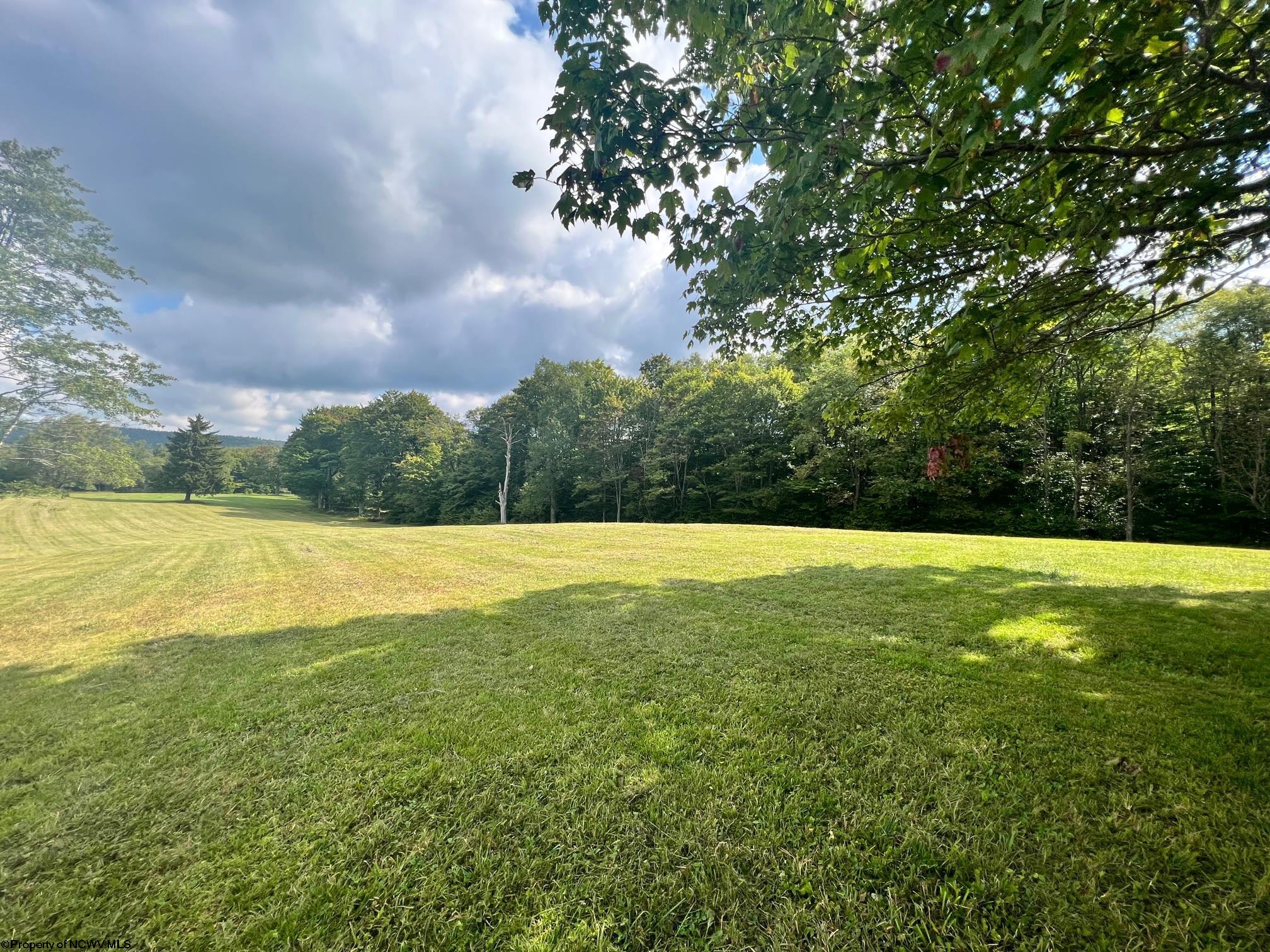 5 High Meadow Drive Davis WV 26260