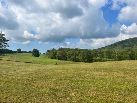 5 High Meadow Drive Davis WV 26260