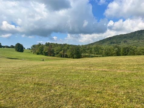 5 High Meadow Drive Davis WV 26260