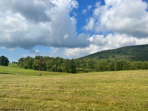 5 High Meadow Drive Davis WV 26260