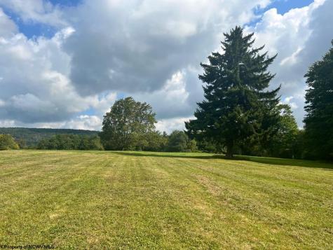 5 High Meadow Drive Davis WV 26260