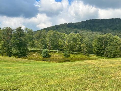 5 High Meadow Drive Davis WV 26260
