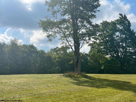 5 High Meadow Drive Davis WV 26260