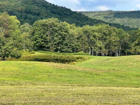 5 High Meadow Drive Davis WV 26260
