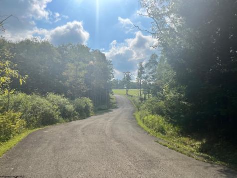 5 High Meadow Drive Davis WV 26260