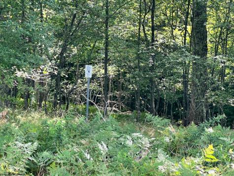 5 High Meadow Drive Davis WV 26260