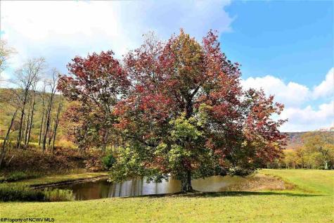 5 High Meadow Drive Davis WV 26260