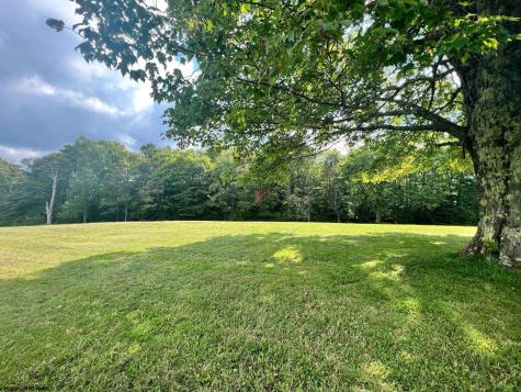 5 High Meadow Drive Davis WV 26260