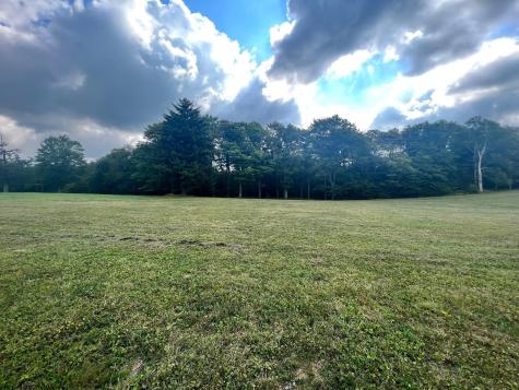 5 High Meadow Drive Davis WV 26260