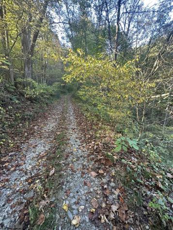 7 Cannon Hill Road Rowlesburg WV 26425