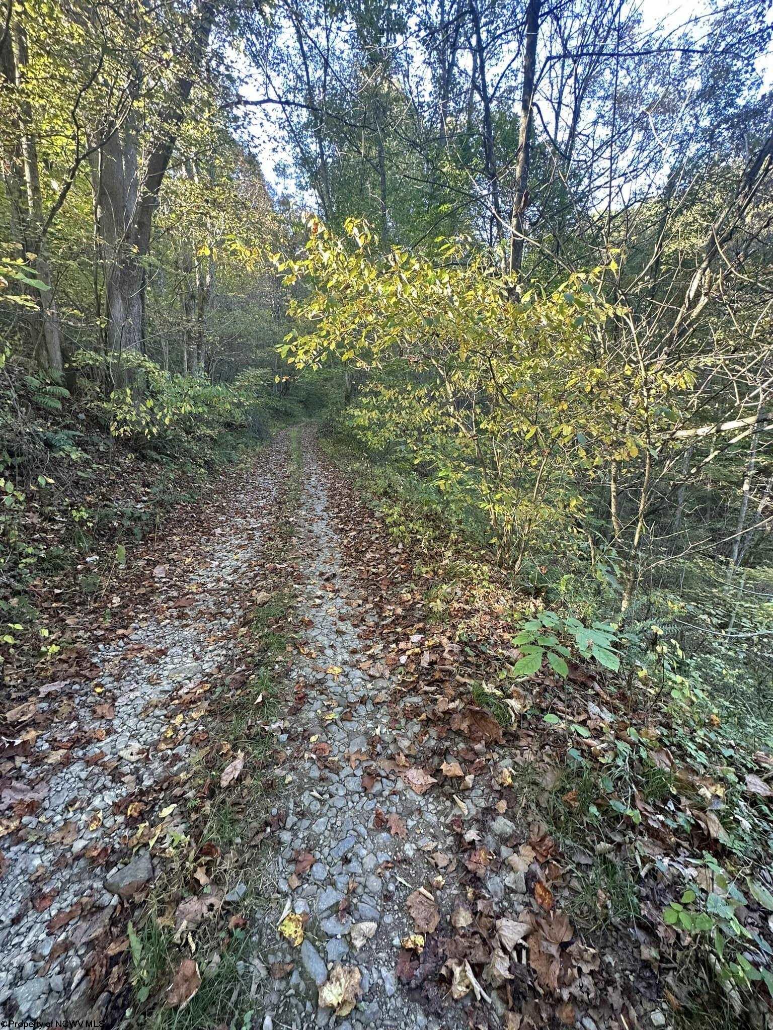 7 Cannon Hill Road Rowlesburg WV 26425