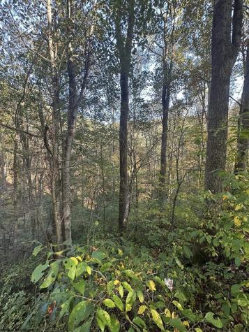7 Cannon Hill Road Rowlesburg WV 26425