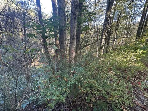 7 Cannon Hill Road Rowlesburg WV 26425