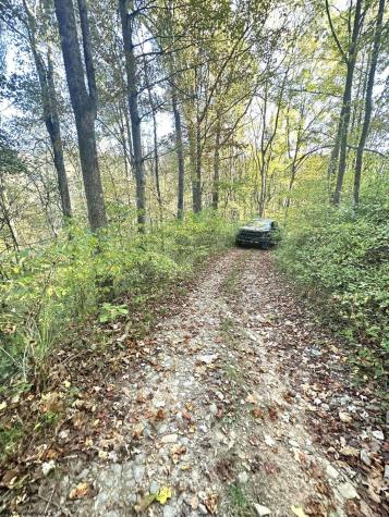 7 Cannon Hill Road Rowlesburg WV 26425