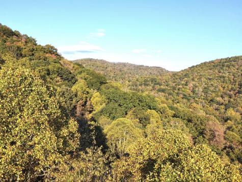7 Cannon Hill Road Rowlesburg WV 26425