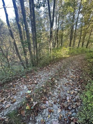 7 Cannon Hill Road Rowlesburg WV 26425