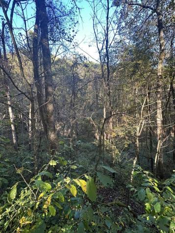 7 Cannon Hill Road Rowlesburg WV 26425