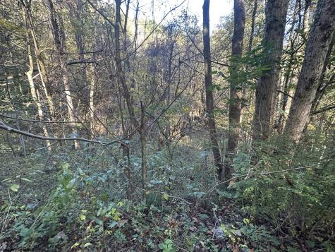 7 Cannon Hill Road Rowlesburg WV 26425