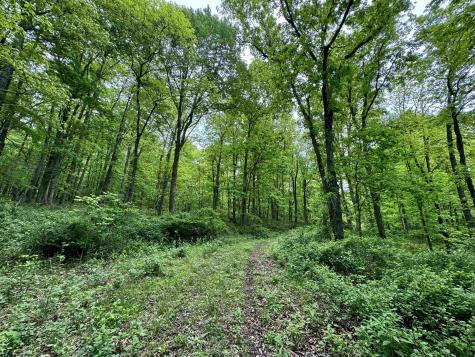 0 Hopewell Road Fairmont WV 26554