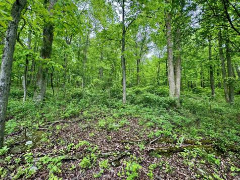 0 Hopewell Road Fairmont WV 26554