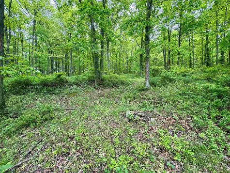 0 Hopewell Road Fairmont WV 26554