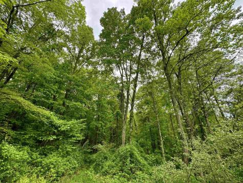 0 Hopewell Road Fairmont WV 26554