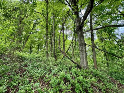 0 Hopewell Road Fairmont WV 26554
