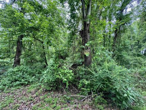 0 Hopewell Road Fairmont WV 26554
