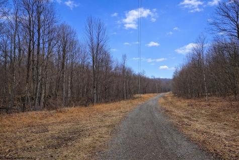 2110 W Teter Creek Road Belington WV 26250