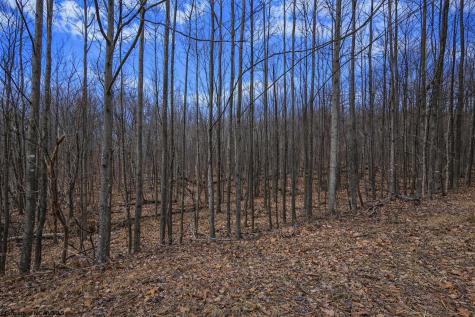 2110 W Teter Creek Road Belington WV 26250
