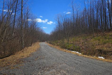 2110 W Teter Creek Road Belington WV 26250