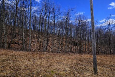 2110 W Teter Creek Road Belington WV 26250