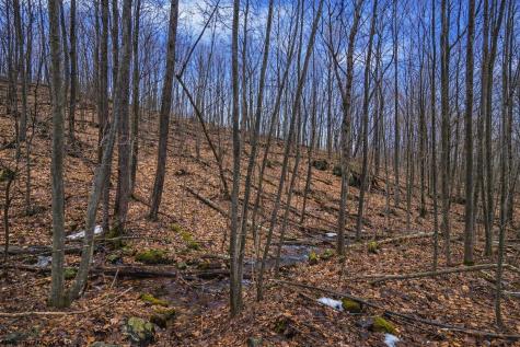 2110 W Teter Creek Road Belington WV 26250