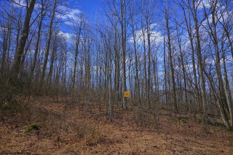 2110 W Teter Creek Road Belington WV 26250
