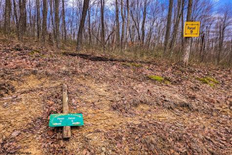 2110 W Teter Creek Road Belington WV 26250
