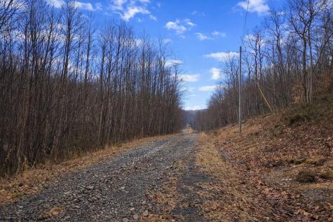 2110 W Teter Creek Road Belington WV 26250