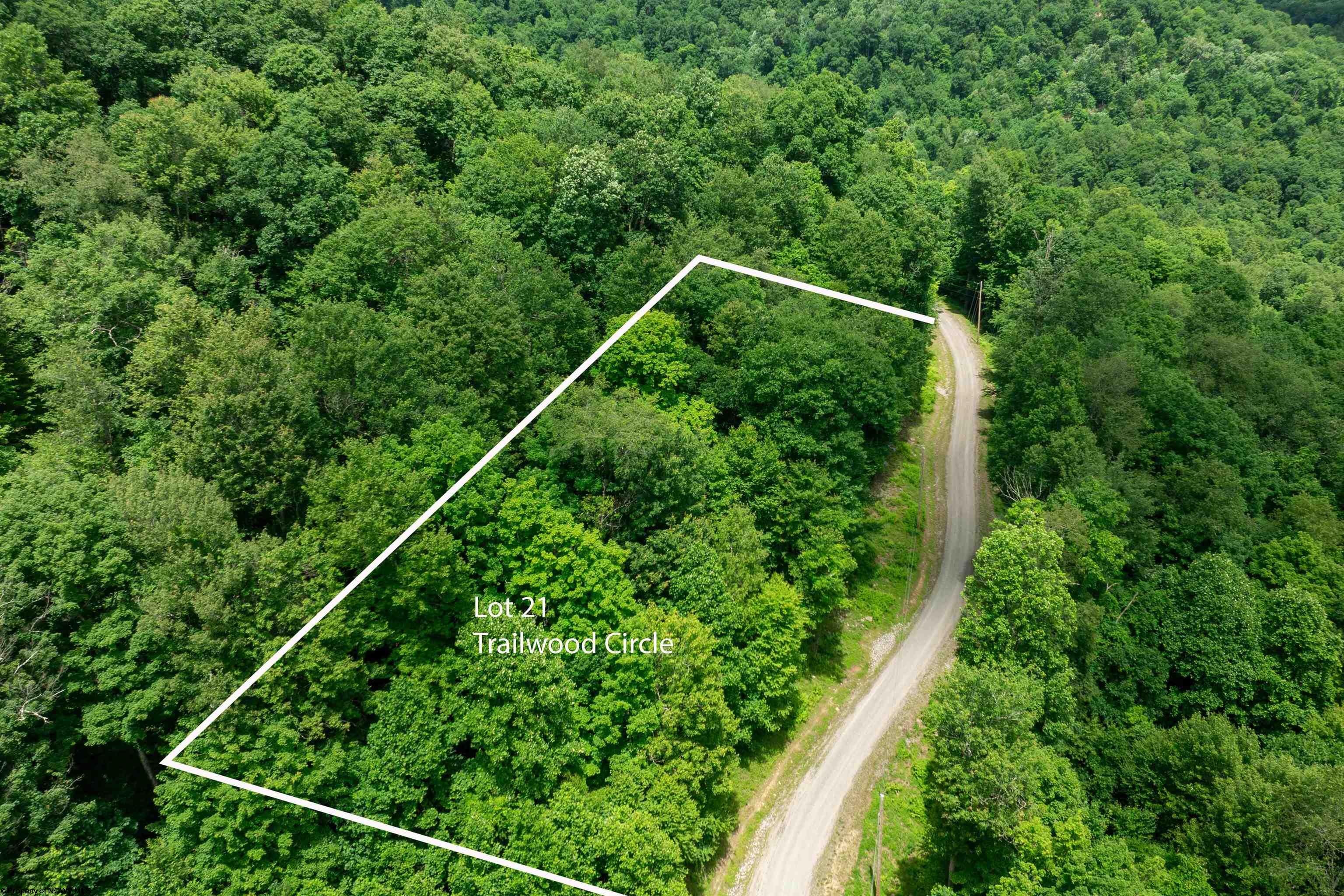 21 Trailwood Circle Bruceton Mills WV 26525