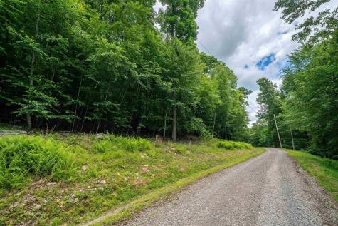 21 Trailwood Circle Bruceton Mills WV 26525