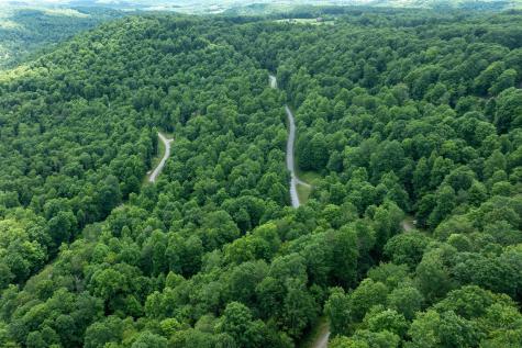 21 Trailwood Circle Bruceton Mills WV 26525