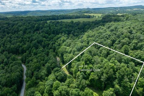 21 Trailwood Circle Bruceton Mills WV 26525