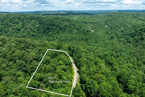 21 Trailwood Circle Bruceton Mills WV 26525