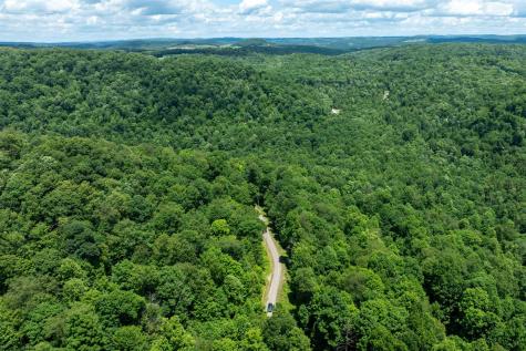 21 Trailwood Circle Bruceton Mills WV 26525